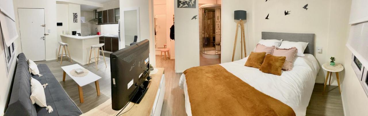 Apartment Monoambiente Palermo Hollywood *